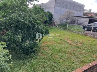 Área gramada com vegetação densa e um prédio ao fundo.