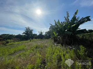 Terreno, foto 3