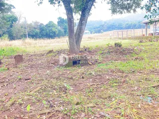 Terreno, foto 14