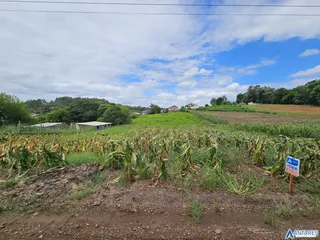 Terreno, foto 1