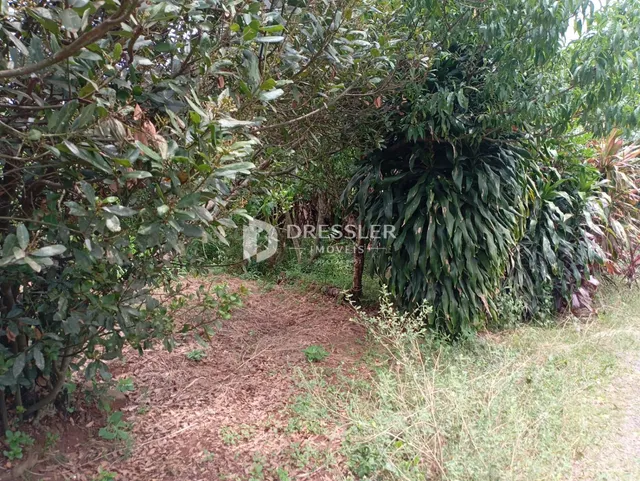 Terreno, foto 4