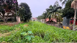 Terreno, foto 3