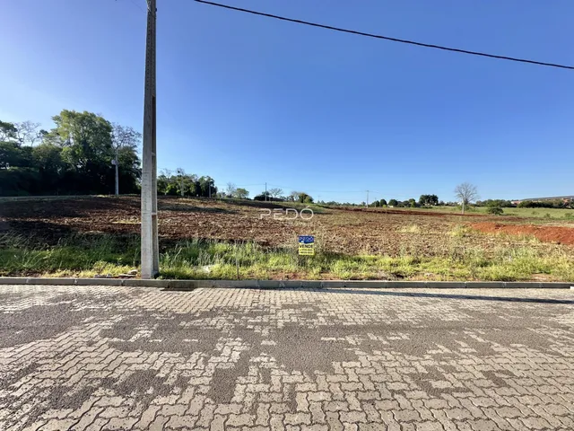 Paisagem de campo com terra arada e poste de luz em Lajeado.