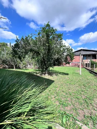 Vista externa do terreno com vegetação e grama sob um céu azul.