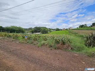 Terreno, foto 2