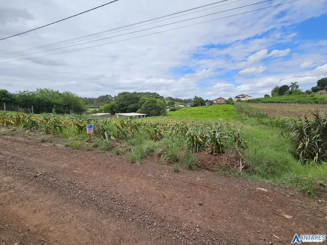 Terreno, foto 2