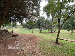 Vista de um terreno com gramado e vegetação ao ar livre.