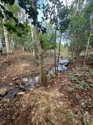 Área rural, foto 3