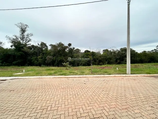 Terreno, foto 4