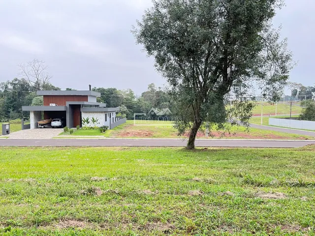 Terreno