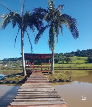 Uma passarela de madeira atravessa a água entre duas palmeiras em uma paisagem rural.