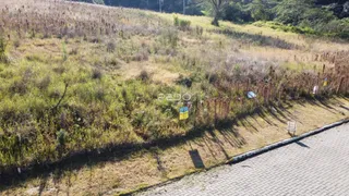 Paisagem de terreno gramado e vegetação ao lado de uma estrada.