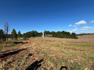 Área rural, foto 7