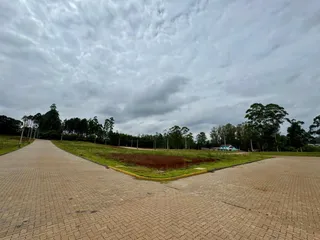 Terreno, foto 3