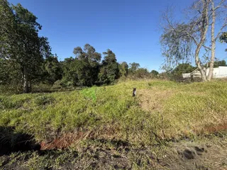 Terreno, foto 1