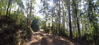 Área rural, foto 2