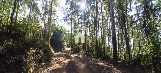 Área rural, foto 2