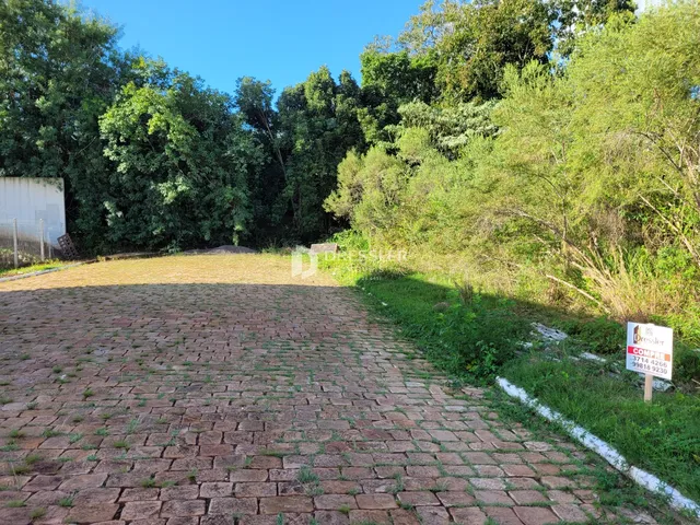 Terreno, foto 3