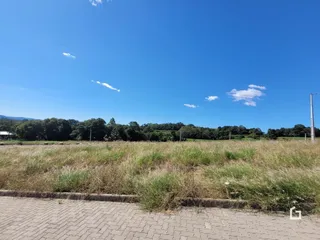 Vista de uma área de campo com vegetação e floresta sob um céu azul.
