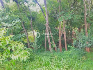 Terreno, foto 13