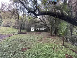 Área rural com 2 dormitórios, foto 22