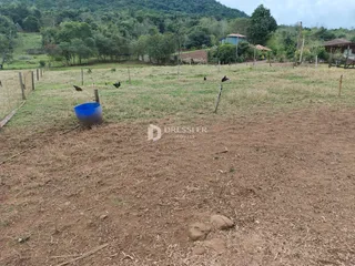 Área rural com 3 dormitórios, foto 5