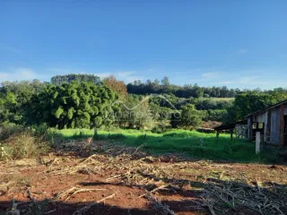 Paisagem de campo com vegetação seca e árvores densas ao fundo.