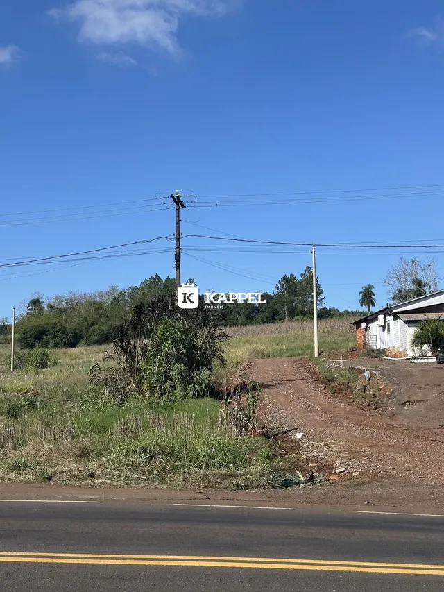 Vista externa de uma estrada rural com vegetação alta e estruturas ao fundo.