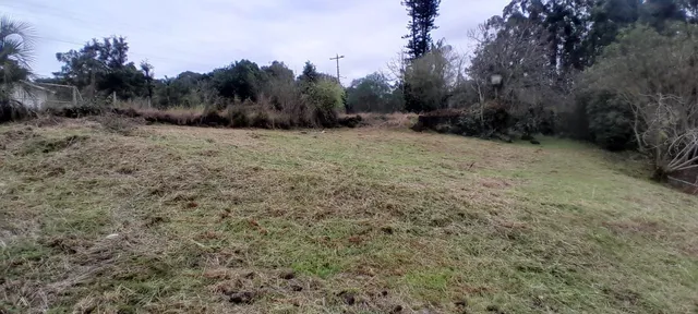 Área rural, foto 4