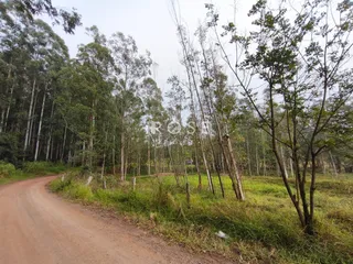 Área rural, foto 7