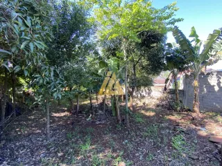 Terreno, foto 3