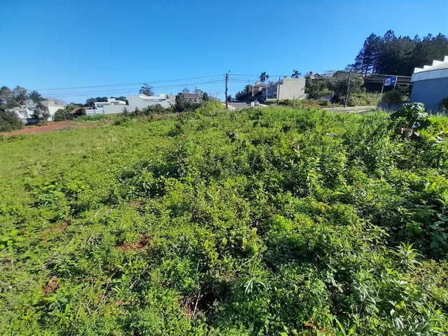 Terreno, foto 2