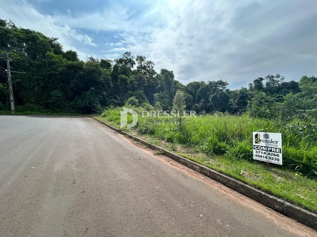 Vista da estrada ao lado de uma área verde densa.