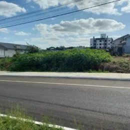 Terreno, foto 3