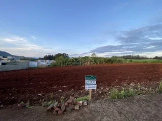 Foto de um campo aberto com terra vermelha sob um céu azul.