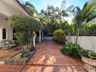 Vista externa de um jardim com caminho de tijolos e vegetação tropical em uma residência.