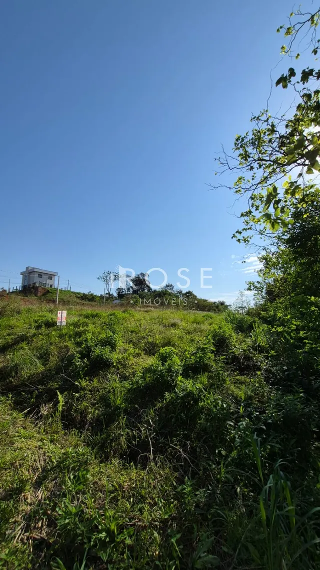 Terreno, foto 2