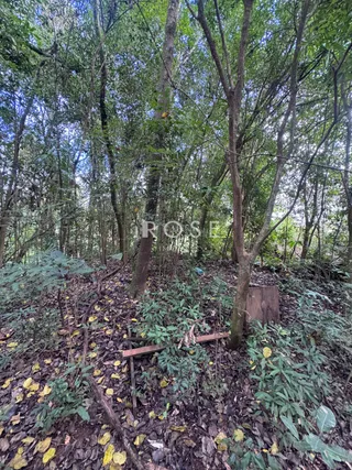 Área rural com 2 dormitórios, foto 14