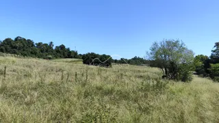 Área rural, foto 6