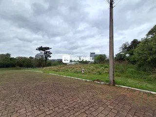 Uma vista externa mostrando uma área pavimentada e vegetação em uma propriedade.