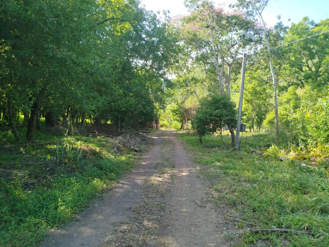 Área rural, foto 1