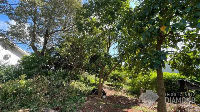 Terreno, foto 2