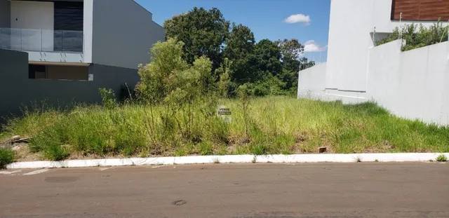 Vista externa mostrando vegetação alta em uma área.