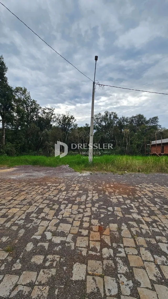 A foto mostra uma área pavimentada com pedras no primeiro plano.