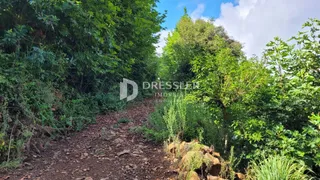 Área rural, foto 3