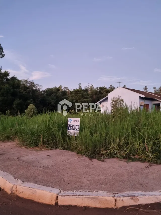 Terreno