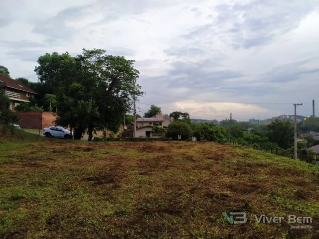 Terreno, foto 2