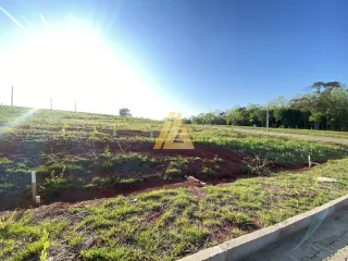 Terreno, foto 2