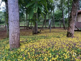 Área rural, foto 26