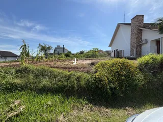 Vista externa de uma residência com vegetação densa no primeiro plano.